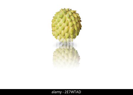 Annona oder Cherimoya exotische Frucht auf weißem isolierten Hintergrund. Stockfoto