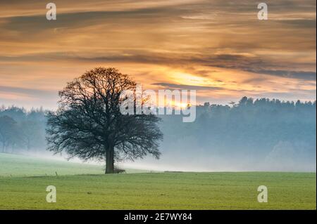 Dramatischer Himmel über Newlands Corner Stockfoto