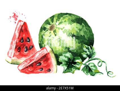 Ganze und Scheiben reifen roten Wassermelone. Aquarell handgezeichnete Illustration, isoliert auf weißem Hintergrund Stockfoto