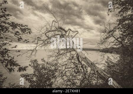 Rügen ist die flächengrößte und mit rund 63.200 Einwohnern auch die schönste Insel Deutschlands. Stockfoto