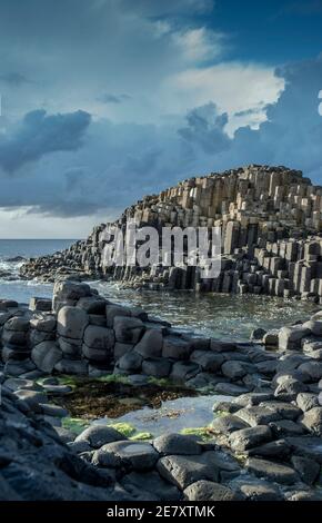 Der Giant's Causeway in County Antrim, Nordirland Stockfoto