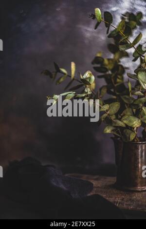 Frische Eukalyptusblätter in einer Vintage Vase auf Holztisch Stockfoto