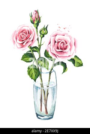 Rosa Rosenblüten in einer Glasvase. Aquarell handgezeichnete Illustration, isoliert auf weißem Hintergrund Stockfoto