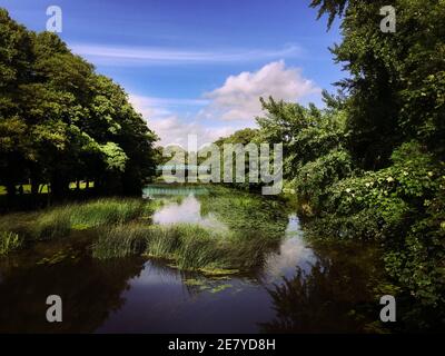 Mortain Hängebrücke über den Fluss Stour, die Blandford St Mary mit der Stadt Blandford Forum in North Dorset verbindet. Bekannt vor Ort als das Blau Stockfoto