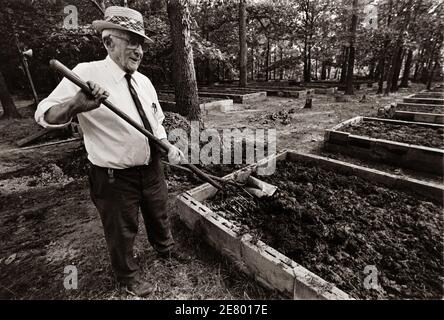 Alton Carter, Onkel von Präsident Jimmy Carter bei der Arbeit auf seiner Wurmfarm. Alton Carter, der Onkel von Präsident Carter und der ehemalige Bürgermeister von Plains, Georgia, arbeitet an der Bevorung des Erdbettes, das die Heimat von Regenwürmern und Nachtschwärmer auf seiner Wurmfarm war, etwas außerhalb von Plains. Alton Carter wurde in Arlington, Ga geboren. Als er 15 Jahre alt war, zog er seine Mutter, zwei Schwestern, und seinen jüngeren Bruder, James Earl Carter, Vater des Präsidenten, nach Plains von Rowens, Ga. James Earl Carter starb 1953, Und Alton, nach Angaben von Mitgliedern der Familie, wurde etwas wie ein zweiter Vater von Präsident Carter. Stockfoto