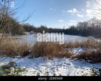 Schneebedeckte Landschaft mit trockenem Schilf am gefrorenen See Winter Stockfoto