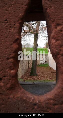 Blick durch eine Schießschelle der Festung Rüsselsheim in die Innenhof des Schlosses mit einem Baum und Wällen Stockfoto