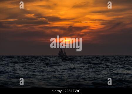 Darß ist der mittlere Teil der Halbinsel Fischland-Darß-Zingst, die an der südlichen Ostseeküste bei Ribnitz-Damgarten in Mecklenburg-Vorpommern liegt. Stockfoto