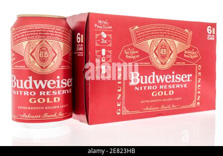 Winneconne, WI -27 Januar 2021: Ein Sechserpack Budweiser Nitro Reserve Goldbier auf einem isolierten Hintergrund. Stockfoto