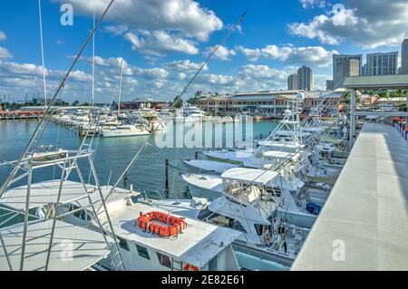 Der Yachthafen liegt am Bayfront Marketplace an der Biscayne Bay in Miami, Florida. Stockfoto