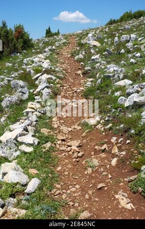 Roter Pfad am Hang zum Canyon Uvac River Special Nature Reserve, Serbien Stockfoto