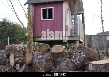 Altes Holzhaus im Garten mit Baumstämmen Stockfoto