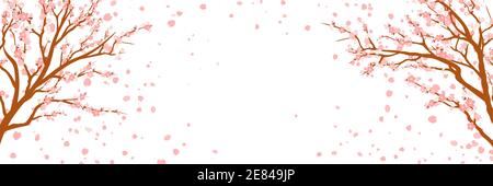 Zweige mit rosa Blüten und Kirschknospen. Sakura. Blütenblätter fliegen im Wind. Isoliert auf weißem Hintergrund. vektor-Illustration Stock Vektor