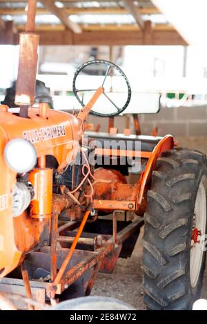 Ein alter Allis Chalmers B Traktor, auf einer Farm, in der Nähe von Uriah, Alabama. Die Firma Allis-Chalmers produzierte das Modell B von 1937 bis 1957. Stockfoto