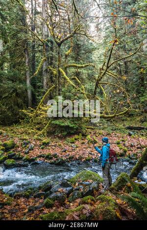 Eine Frau, die entlang des Slate Creek im Bereich Staircase Rapids im Olympic National Park, Washington, USA, fotografiert. Stockfoto