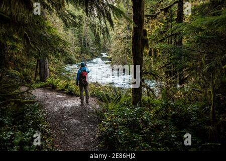 Eine Frau, die Fotos vom Skokomish Fluss im Bereich Staircase Rapids des Olympic National Park, Washington, USA macht. Stockfoto