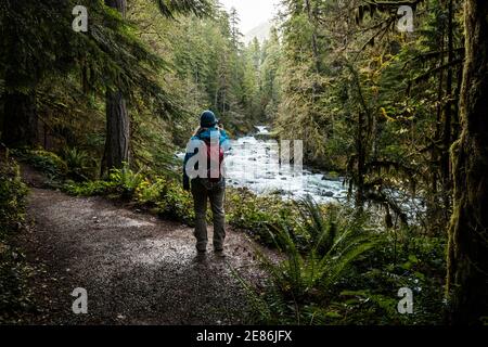 Eine Frau, die Fotos vom Skokomish Fluss im Bereich Staircase Rapids des Olympic National Park, Washington, USA macht. Stockfoto