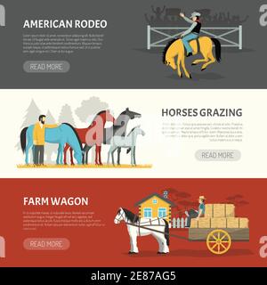 Informationen über Pferde Rassen Umgang 3 horizontale Banner Webseitengestaltung Mit Pasten und Weiden Systeme isoliert Vektor Illustration Stock Vektor