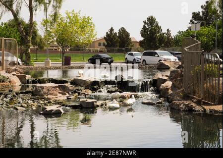 Aliante Nature Discovery Park, No. Las Vegas, NV. Stockfoto