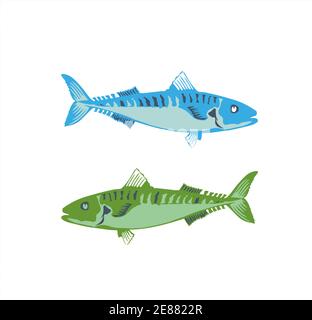 barracuda Fisch im Meer Vektor-Logo und Abbildung Stock Vektor