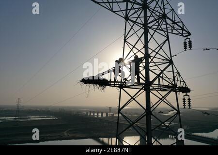 (210131) -- PEKING, 31. Januar 2021 (Xinhua) -- Luftfoto vom 29. Januar 2021 zeigt zwei Arbeiter, die eine Monitorkamera über einem Nest des orientalischen Weißstorchs installieren, der auf einem elektrischen Mast in der Gemeinde Raofeng im Bezirk Poyang, der ostchinesischen Provinz Jiangxi, gebaut wurde. Die Kamera soll regelmäßig Videobilder an Forscher für Studien über Gewohnheiten und Zucht des orientalischen Weißstorchs liefern. Mehr als oft nicht, orientalische Weißstörche brüten in Gebieten rund um den Poyang See entscheiden, ihre Nester auf elektrischen Masten zu bauen. Die Kamerainstallation, ein gemeinsames Projekt des Poyang Lak Stockfoto