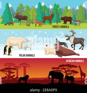 Flache horizontale Banner mit Wald polaren und afrikanischen Tieren gesetzt Auf Natur Hintergründe isoliert Vektor Illustration Stock Vektor