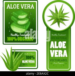 Reine Bio natürliche grüne Aloe Vera Blätter gesunde Behandlung Label Banner mit Textsatz isolierte realistische Vektordarstellung Stock Vektor