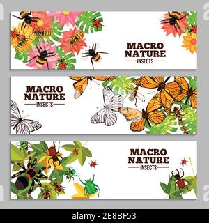 Insekten horizontale Banner von Wespen Schmetterlinge Wanzen Käfer und andere Auf Blumen und Blättern Doodle Vektor Illustration Stock Vektor