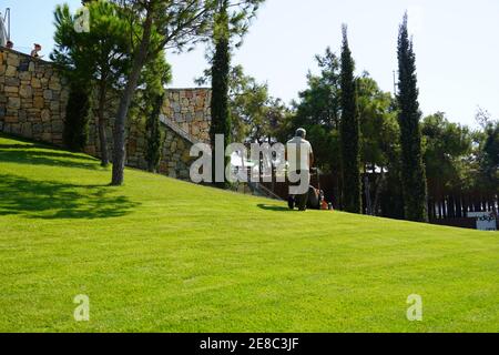 Der Mensch hält einen Wasserschlauch und bewässert den Garten. Arbeit am Haus und Gemüsegarten, Pflege des Territoriums. Hochwertige Fotos Stockfoto