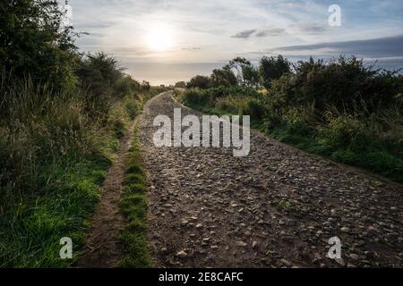 Der Landweg führt hinunter zum Dunnottar Castle, in der Nähe von Stonehaven, Aberdeenshire an einem sonnigen Morgen im August Stockfoto