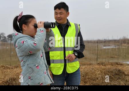 (210131) -- NANCHANG, 31. Januar 2021 (Xinhua) -- Lei Xiaoyong lehrt ein Kind, mit einem Teleskop Vögel auf der Kangshan-Farm im Bezirk Yugan, der Provinz Jiangxi im Osten Chinas, zu beobachten, 30. Januar 2021. Lei Xiaoyong ist Leiter der Wildtier- und Pflanzenschutzstation der Forstverwaltung des Kreises Yugan. Eine der Aufgaben von Lei und seinen Kollegen ist es, Zugvögel am Poyang See zu schützen, dem größten Süßwassersee Chinas und einem wichtigen Überwinterungsort für Wasservögel in Asien. In diesem Winter, eine große Anzahl von weißen Kraniche flog auf Kangshan Farm in Yugan zum Überwintern, mit in der Nähe Stockfoto