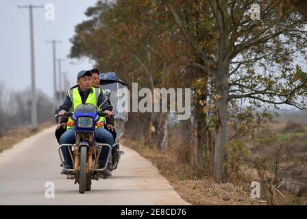 (210131) -- NANCHANG, 31. Januar 2021 (Xinhua) -- Lei Xiaoyong (vorne) und sein Kollege fahren mit einem Motorrad auf der Kangshan Farm im Bezirk Yugan, ostchinesische Provinz Jiangxi, 30. Januar 2021. Lei Xiaoyong ist Leiter der Wildtier- und Pflanzenschutzstation der Forstverwaltung des Kreises Yugan. Eine der Aufgaben von Lei und seinen Kollegen ist es, Zugvögel am Poyang See zu schützen, dem größten Süßwassersee Chinas und einem wichtigen Überwinterungsort für Wasservögel in Asien. In diesem Winter flog eine große Anzahl von weißen Kranichen zur Kangshan Farm in Yugan zum Überwintern, wit Stockfoto