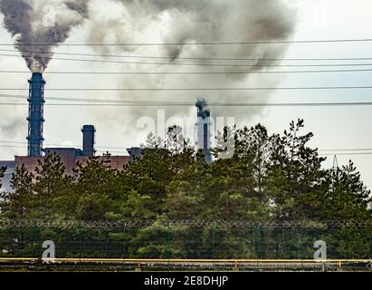 Hinter den Bäumen rauchen die Schornsteine eines großen Industrieunternehmens. Stockfoto