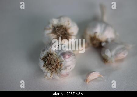 Roher Knoblauch und Knoblauchzehen auf weißem Hintergrund fotografiert Stockfoto