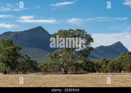 Mt Abrupt von Old Ararat Road, Dunkeld, Southern Grampians, Victoria, Australien Stockfoto