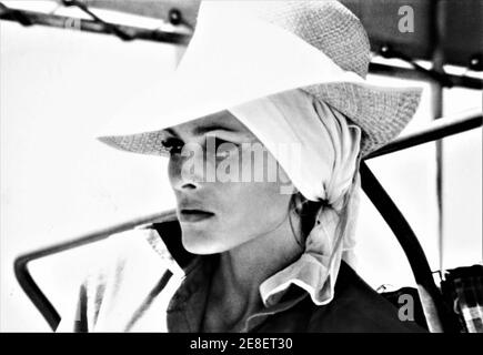 URSULA ANDRESS vor Ort offen während Dreharbeiten in Negev Desert in Israel für SHE 1965 Regisseur ROBERT DAY nach dem Roman von H. Rider Haggard Hammer Films / Warner - Pathe Distributors Stockfoto