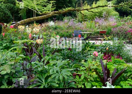 Terrasse Sitzbereich, Sitze, Tisch und Stühle, gemischte mehrjährige Grenze, gemischte mehrjährige Bett, Juni Blake's Garten, Wicklow, Irland, Sommer im Garten, Sitzgelegenheiten Stockfoto