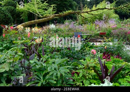 Terrasse Sitzbereich, Sitze, Tisch und Stühle, gemischte mehrjährige Grenze, gemischte mehrjährige Bett, Juni Blake's Garten, Wicklow, Irland, Sommer im Garten, Sitzgelegenheiten Stockfoto