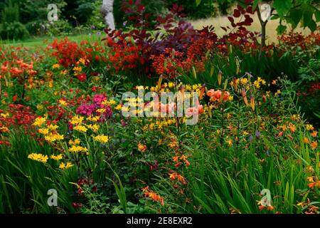 lilium lancifolium tigrinum splendens, crocosmia, Phlox, Dahlie, rot orange gelbe Blüten, orange Tigerlilie, orange Tiger Lilien, heiße Grenze, heiße Grenzen, so Stockfoto