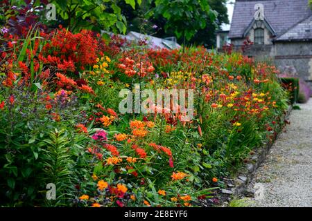 lilium lancifolium tigrinum splendens, crocosmia, Phlox, Dahlie, rot orange gelbe Blüten, orange Tigerlilie, orange Tiger Lilien, heiße Grenze, heiße Grenzen, so Stockfoto