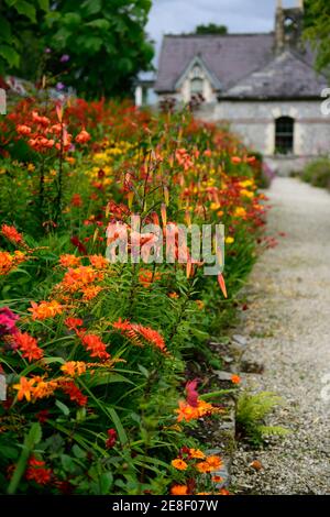 lilium lancifolium tigrinum splendens, crocosmia, Phlox, Dahlie, rot orange gelbe Blüten, orange Tigerlilie, orange Tiger Lilien, heiße Grenze, heiße Grenzen, so Stockfoto