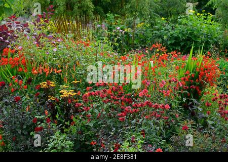 monarda jacob cline, lilium lancifolium tigrinum splendens, crocosmia, Phlox, Dahlie, rot orange gelbe Blüten, orange Tiger lilie, orange Tigerlilien, heiß b Stockfoto