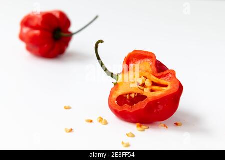 Rote Habanero Chili Pfeffer isoliert mit einem weißen Hintergrund. Stockfoto