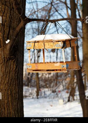 Ein Vogelfutterhäuschen aus übrig gebliebenen Baumaterialien hängt an einem Baumzweig in einem Winterwald vor einem verschwommenen Hintergrund von Busch und Sonnenlicht. Stockfoto