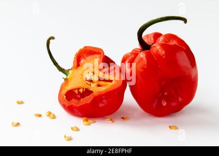 Rote Habanero Chili Pfeffer isoliert mit einem weißen Hintergrund. Stockfoto