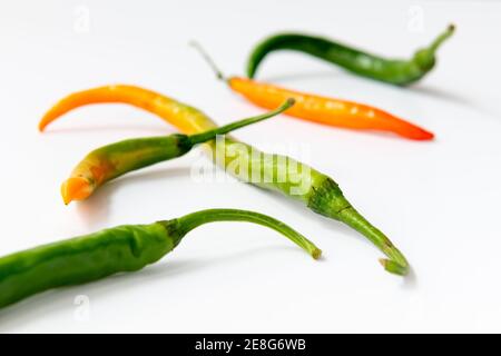 Cayenne Chili Pfeffer isoliert mit einem weißen Hintergrund. Stockfoto