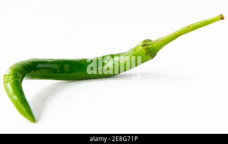Cayenne Chili Pfeffer isoliert mit einem weißen Hintergrund. Stockfoto