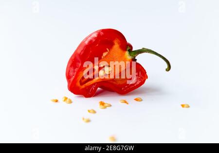 Rote Habanero Chili Pfeffer isoliert mit einem weißen Hintergrund. Stockfoto