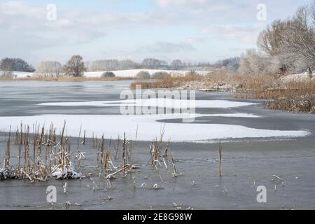 Schöne Seenlandschaft im Winter mit teilweise gefrorenem Wasser, Schilf, Bäumen und Schnee auf den Feldern im Hintergrund, blasser Himmel mit Wolken und Kopie Stockfoto