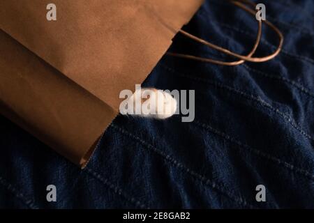 Niedliche Katze Pfote Peaking aus braunem Papierbeutel zum Einkaufen Auf blauem Bettbezug Stockfoto